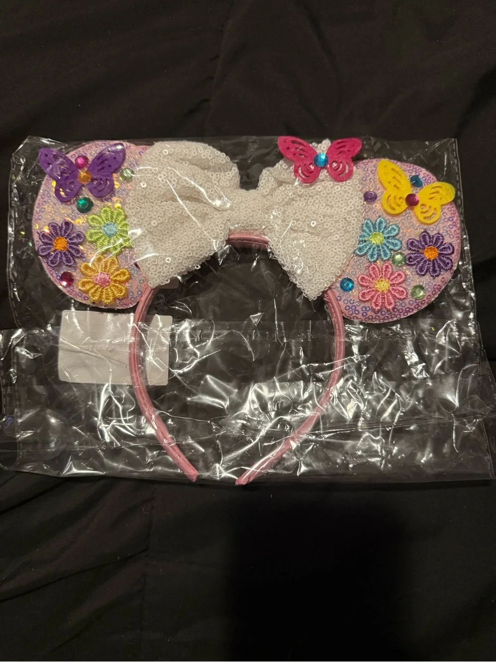 Encanto Mickey Ears